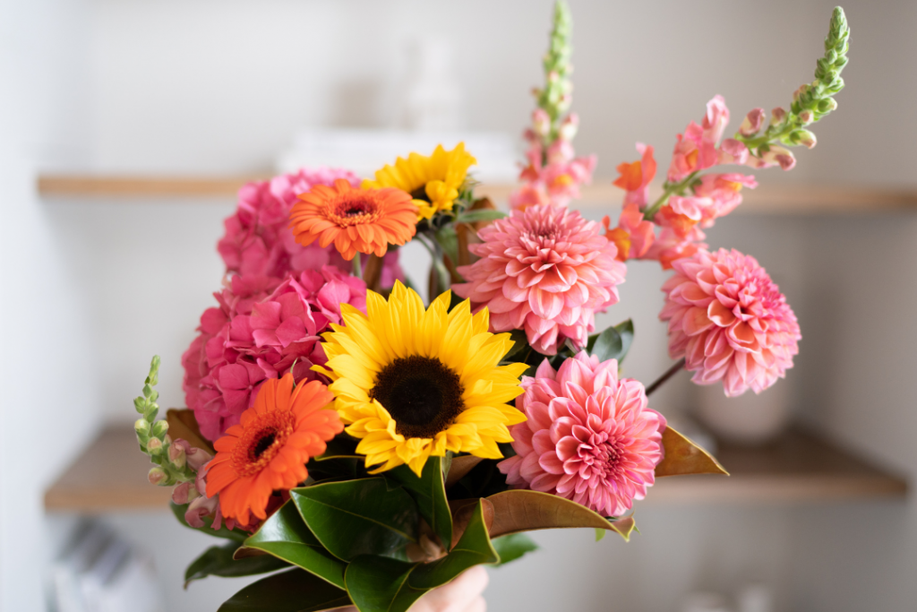 Seasonal Flowers New Zealand - summer flowers