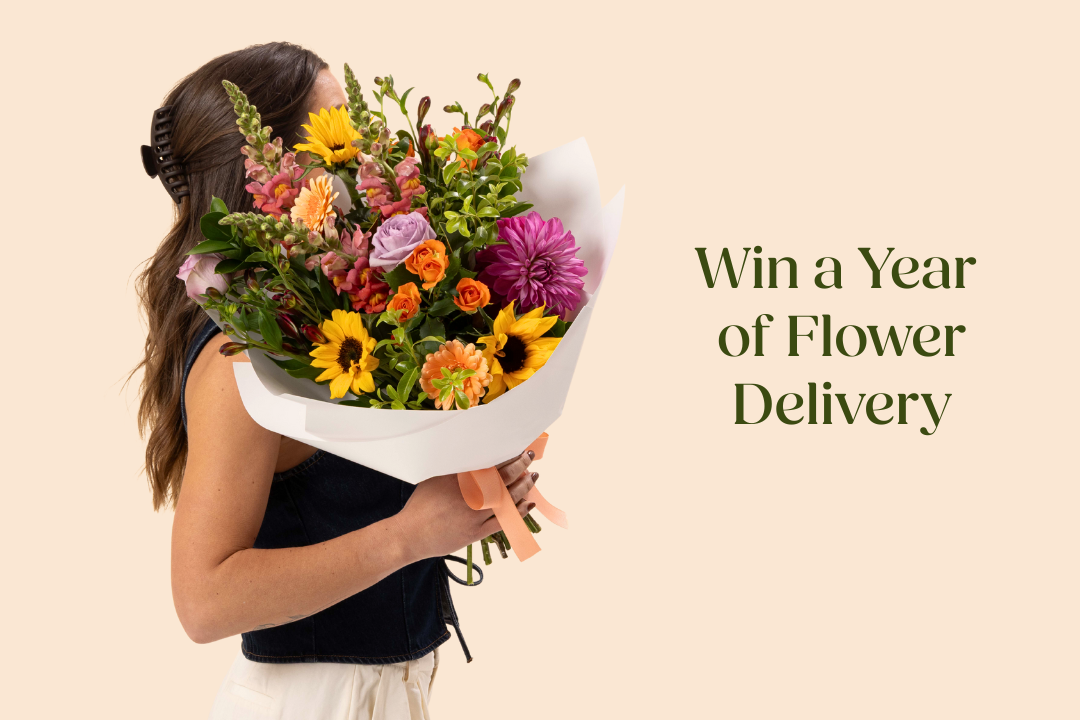 Win a Year of Flower Delivery