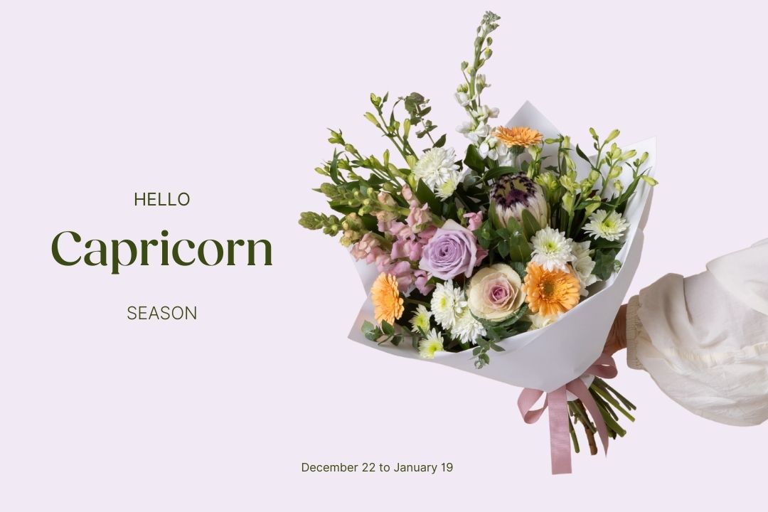 Celebrate the Capricorn in Your Life