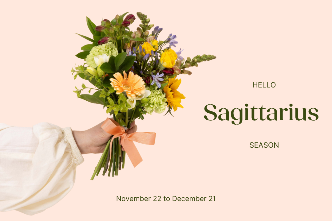 Hello Sagittarius Season