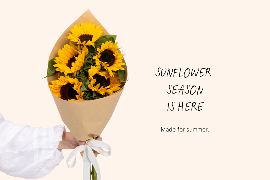 How to Care for Sunflowers at Home 🌻