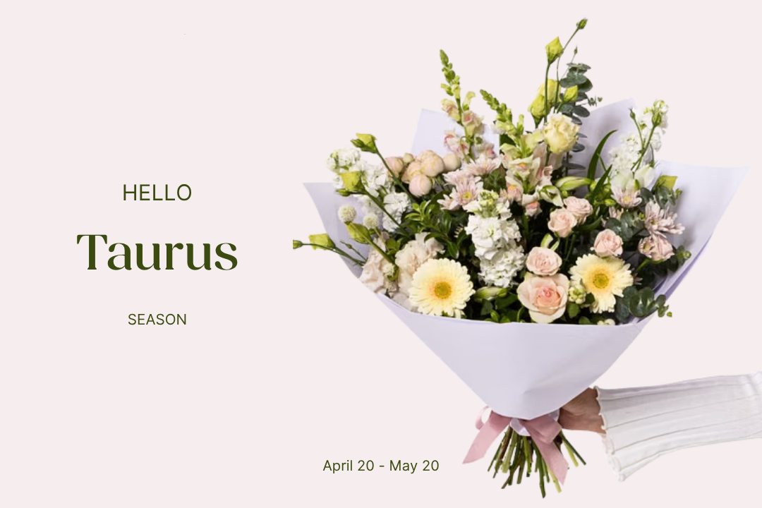 Taurus Season: Slow Blooms, Lasting Beauty
