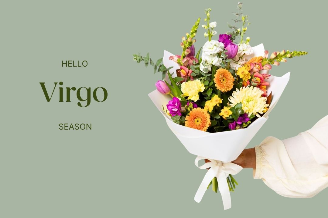 The Virgo Season Edit