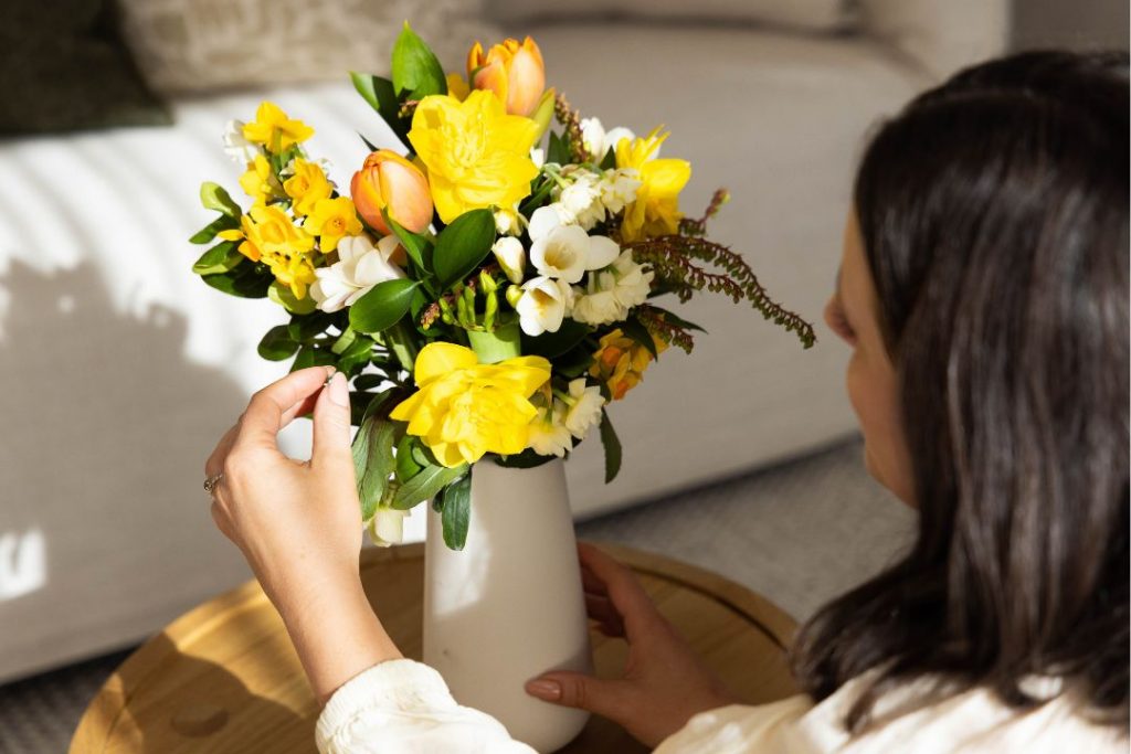 daffodil season NZ