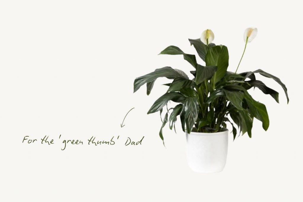 gift ideas for dad