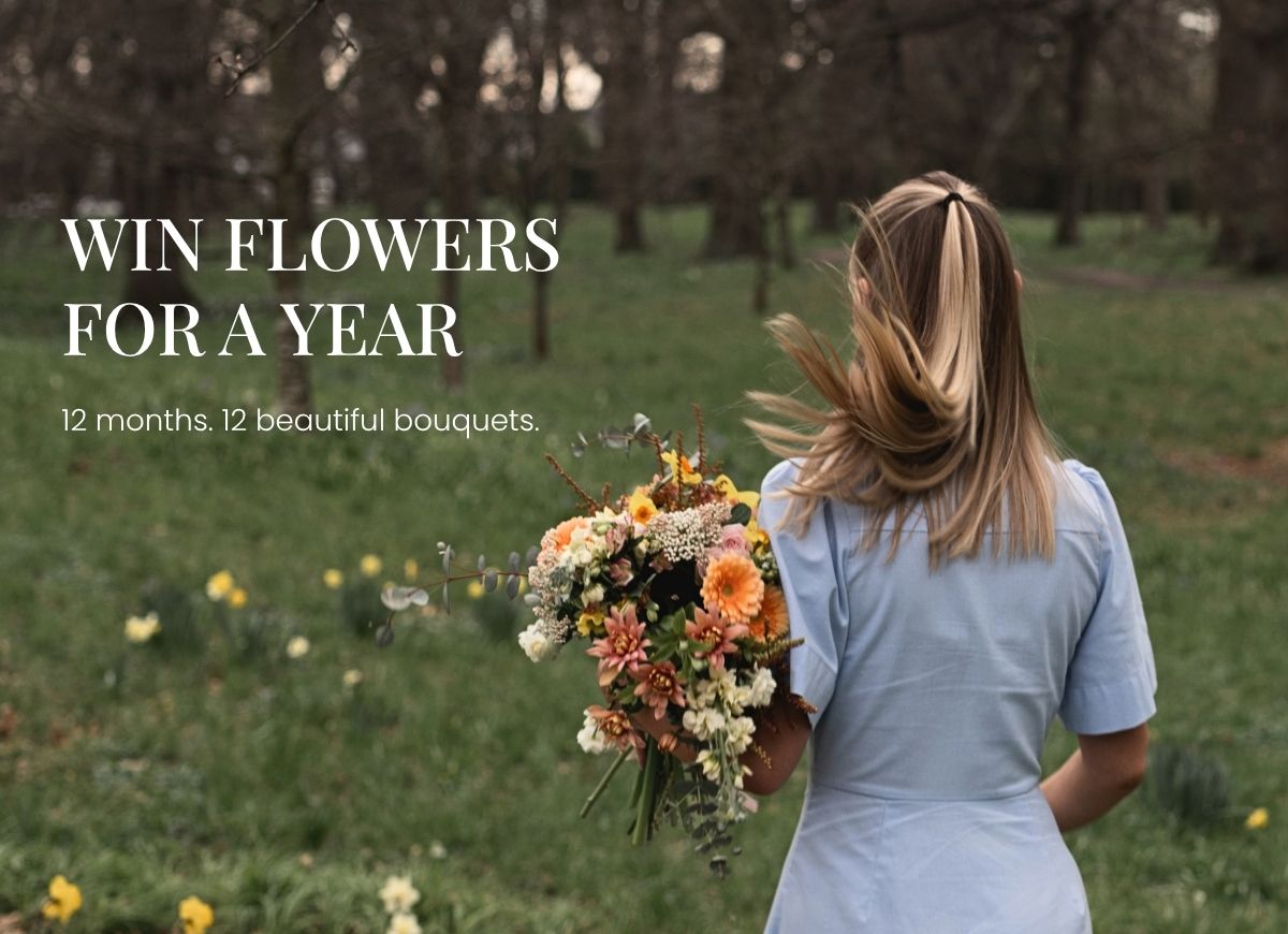 A Year of Flowers Could Be Yours