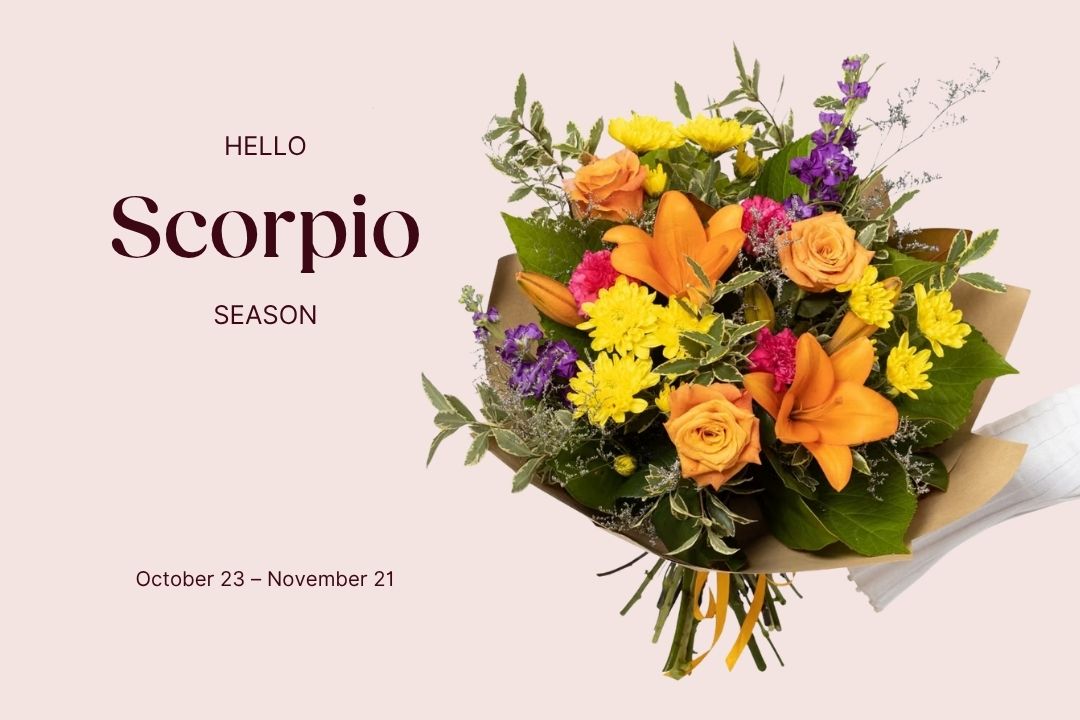 The Scorpio Season Edit